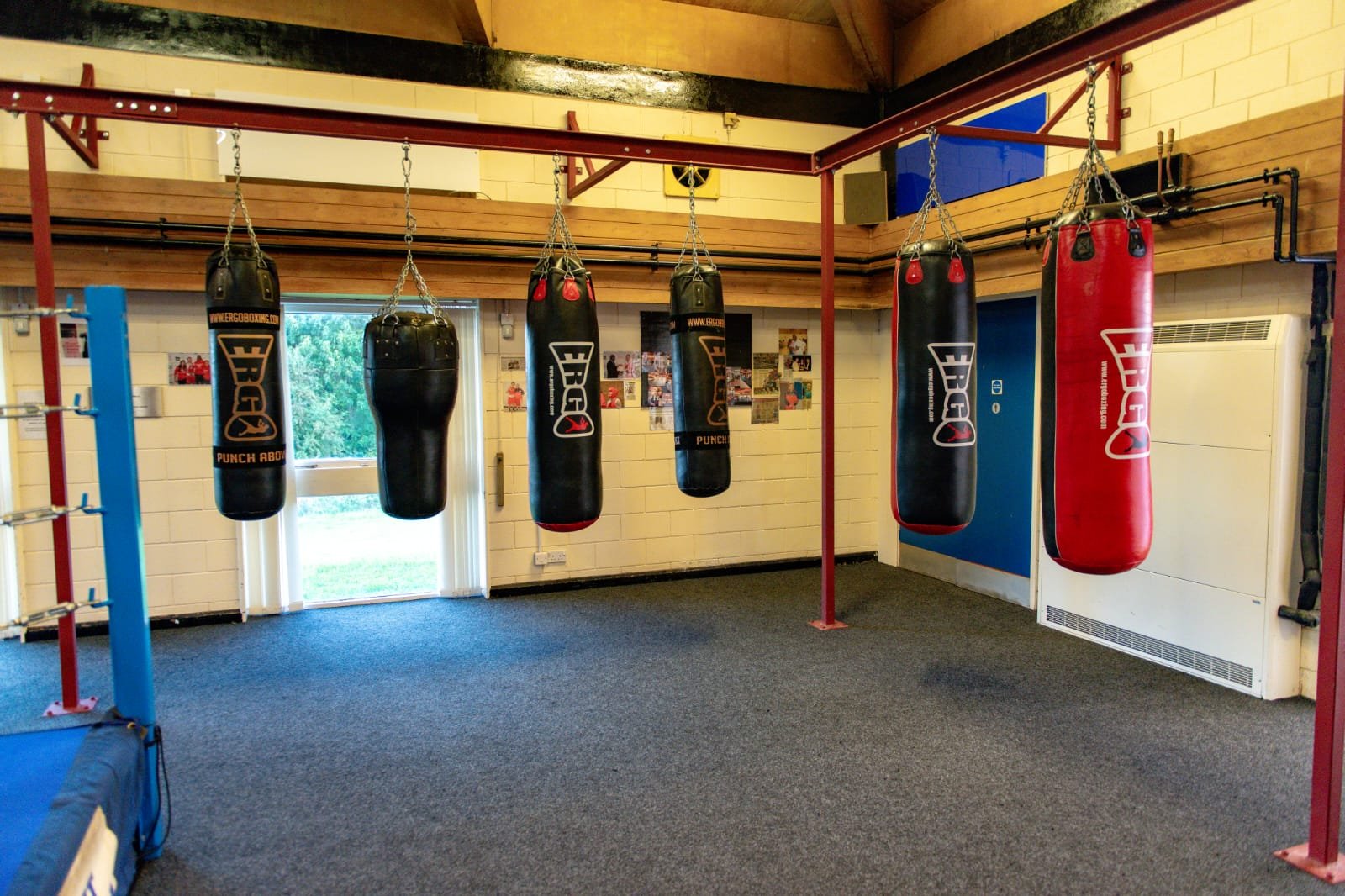9 Punching Bags